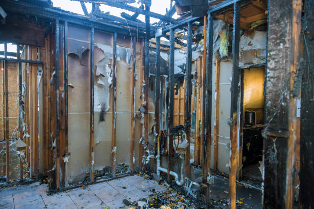 Professional Fire Damage Removal technician working in Bethel, WA