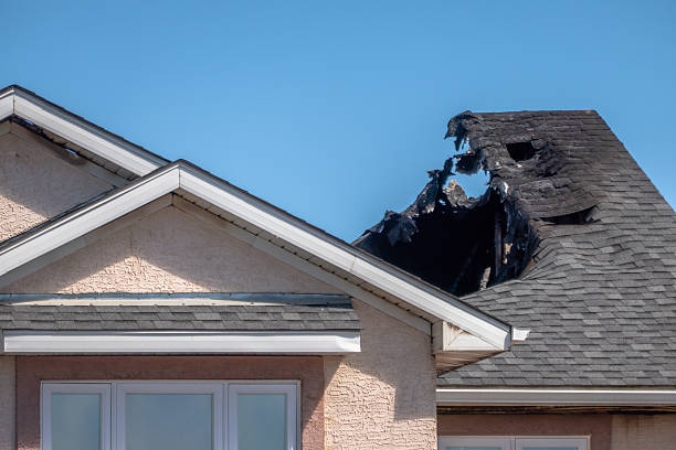 Top rated local Fire Damage Removal specialists in Bethel, WA